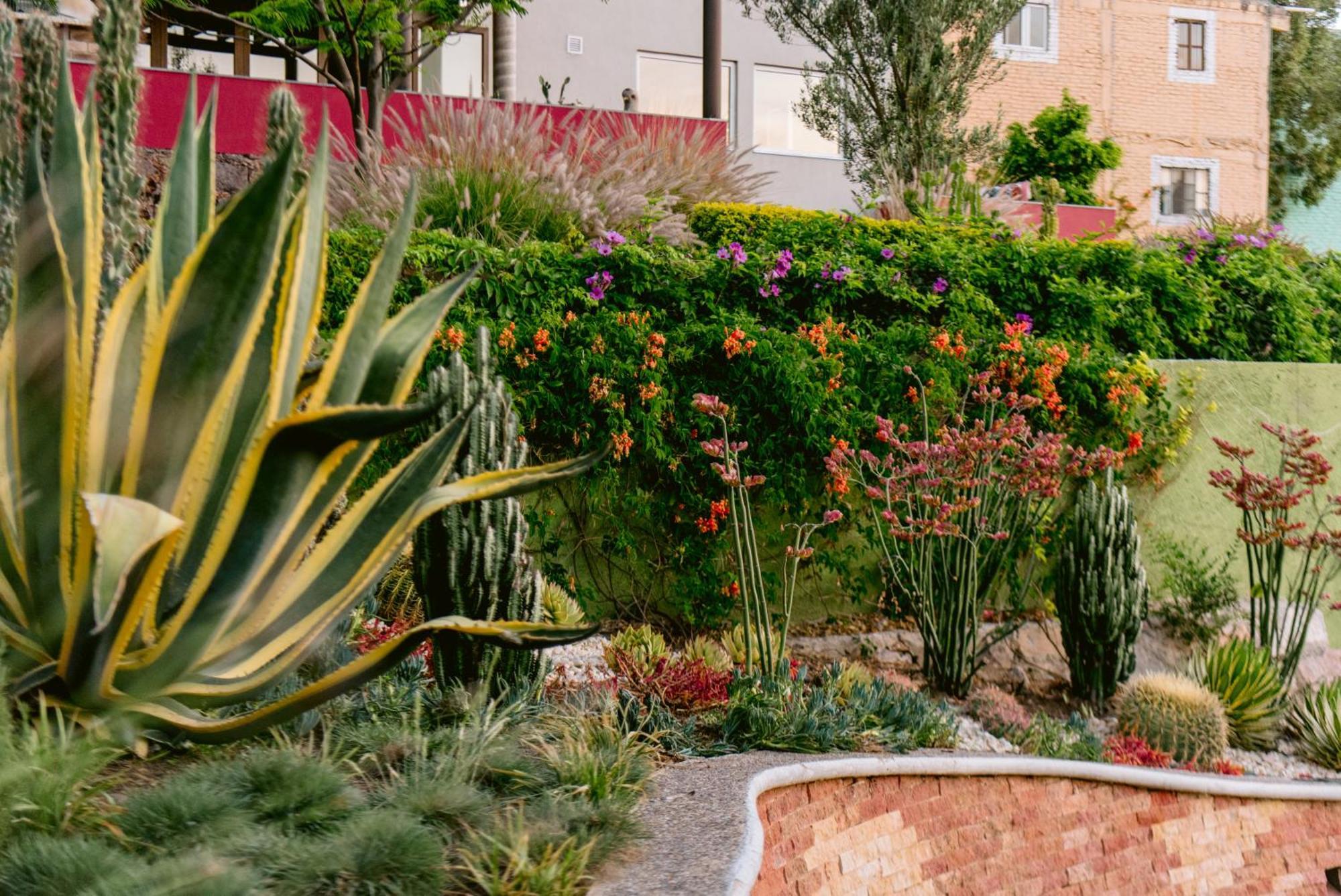 Terra Vista Aparthotel Guanajuato Exterior foto